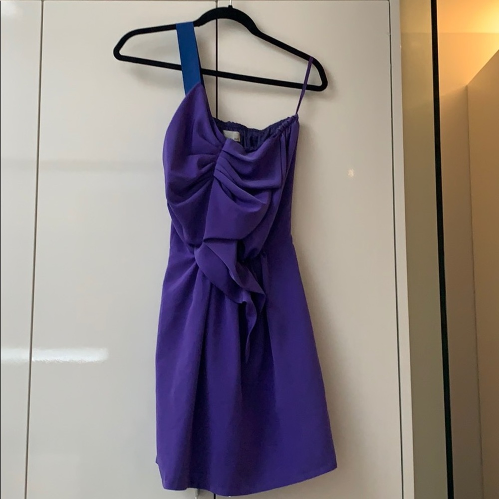 Flirty Miguelina Dress